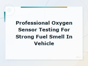 Professional Oxygen Sensor Testing for Strong Fuel Smell in Vehicle